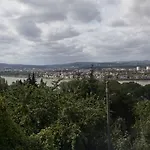 Rhein-mosel-view