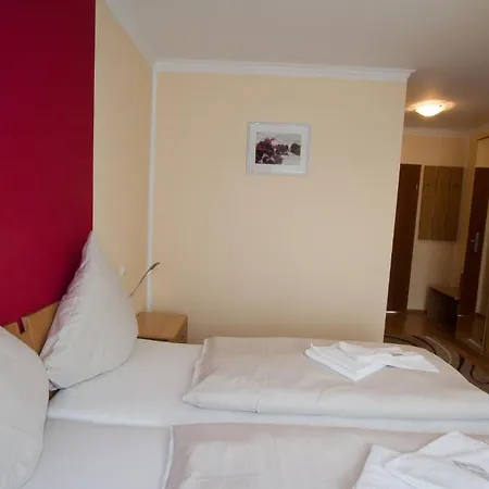 莱茵摩泽尔美景酒店 酒店