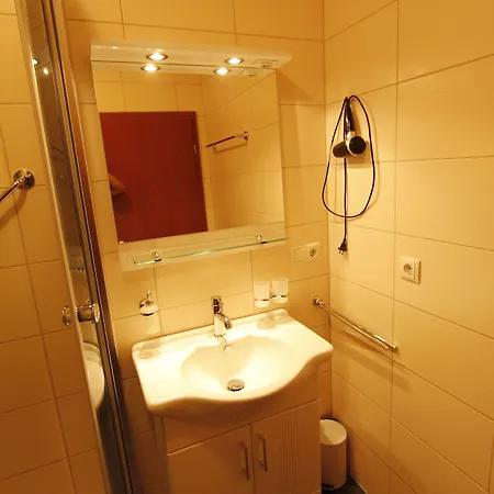 酒店 莱茵摩泽尔美景酒店 3*