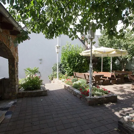 מלון Rhein-mosel-view 3*