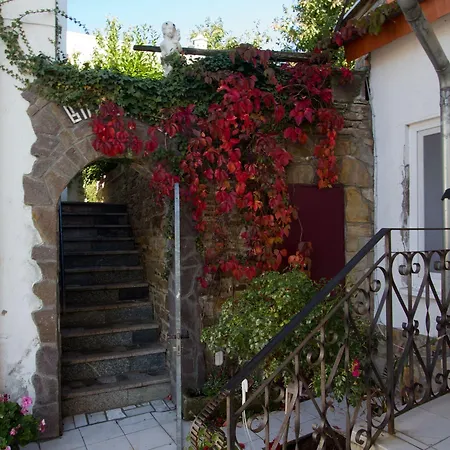 Rhein-mosel-view מלון 3*