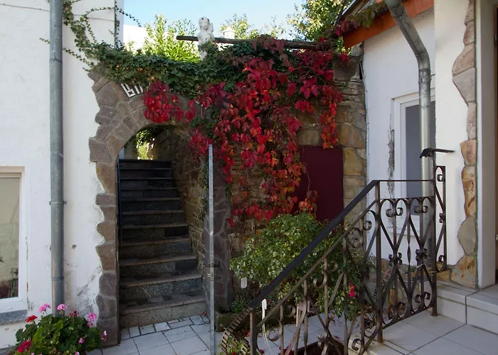 Rhein-mosel-view Hotel 3*